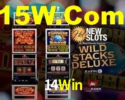 Premium Interface 14Win